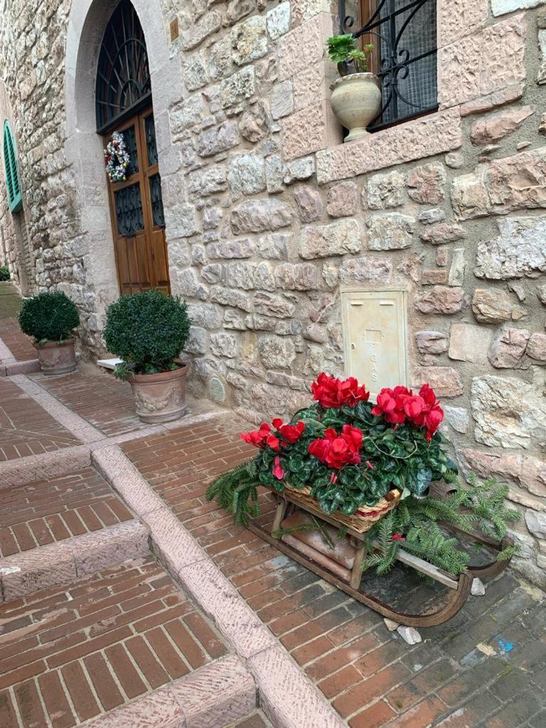 B&B La Zuppa Inglese Assisi Exterior foto